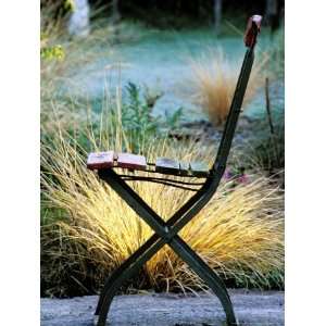  Chair (Bandstand) with Stipa Arundinacea (Pheasant Grass 