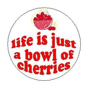  Proverb Saying Quote  LIFE IS JUST A BOWL OF CHERRIES  1 