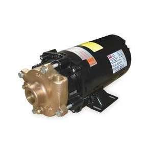 Dayton 2ZWR6 Pump, Centrifugal, 1/2 HP, 3 Ph, 230/460V  