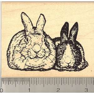  Realistic House Rabbit Pair Rubber Stamp   Wood Mounted 