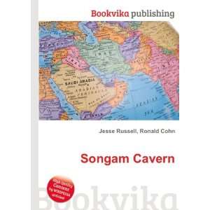  Songam Cavern Ronald Cohn Jesse Russell Books