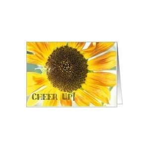 Cheer Up Sunflower Card