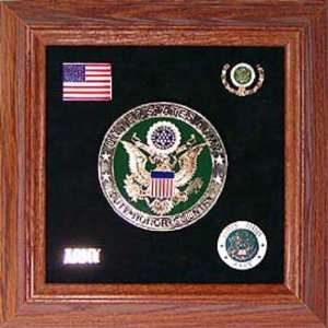  U.S. Army Medallion Framed with Pins 10 5/8 Patio, Lawn 