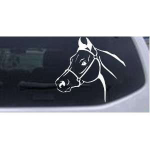 Horse Head Animals Car Window Wall Laptop Decal Sticker    White 20in 