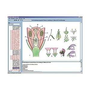   Botany in the Classroom CD ROM  Industrial & Scientific