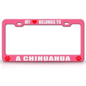 MY HEART BELONGS TO A CHIHUAHUA Dog Pet Steel Metal Auto License Plate 