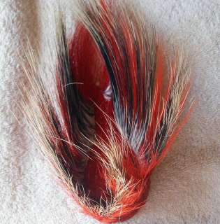 Crow Indian Childs Porcupine Deer Hair Red Dyed Roach Crow 