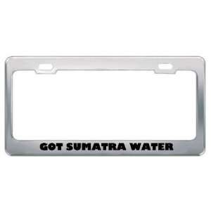 Got Sumatra Water Shrew? Animals Pets Metal License Plate Frame Holder 