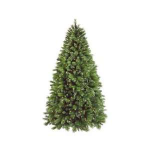 7.5hx58d Colorado/Long Needle Spruce Tree X2042 W/ 800 