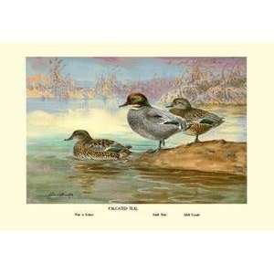  Vintage Art Falcated Teal Ducks   08777 3