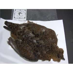  Red Grouse Skin