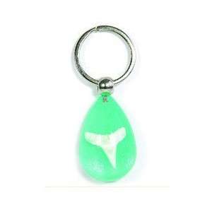   Drop Key Chain Real Shark Tooth with Green in Acrylic