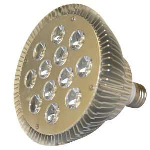  Infinity LED Ultra PAR 38 Light Bulb   12W, Warm White 