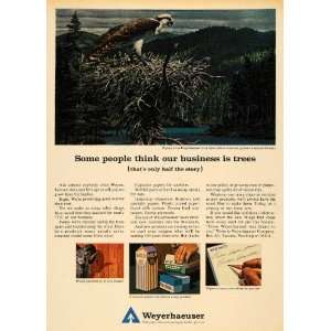  1965 Ad Weyerhaeuser Co. Pulp Paper Osprey Plywood Tree 