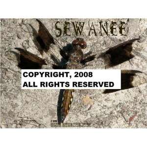  Sewanee Wildlife Series   Dragonfly Postcard Set (Dozen 