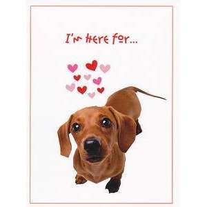    Valentines Day Valentine Greeting Card Dog Kisses 