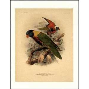  Rosenberg S Lory    Print