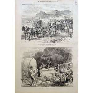  Servia Arms On Road From Belgrade To Hq Old Print 1876 