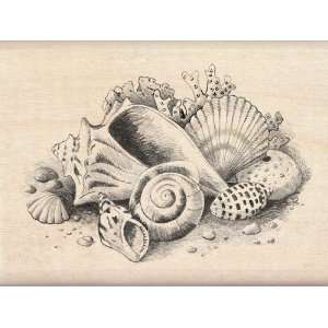  Inkadinkado Seashells Wood Stamp Arts, Crafts & Sewing