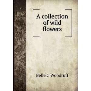  A collection of wild flowers Belle C Woodruff Books