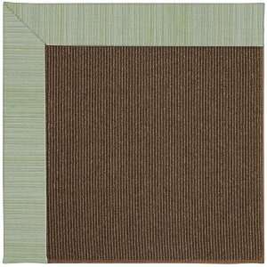   Zoe Java Sisal 2007 Green Spa 217 4 x 6 Area Rug