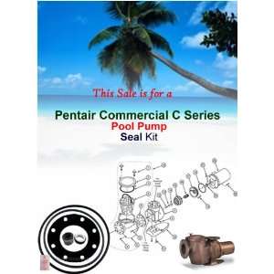   Pentair C SERIES Commercial POOL Pump Seal Oring Kit 