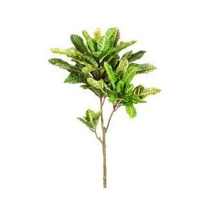 27 Croton Spray Red Green (Pack of 12)