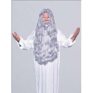  Wizard Beard & Wig   Costume Wig Toys & Games