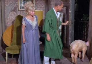 TV Show Bewitched in Lucie Ann Salon