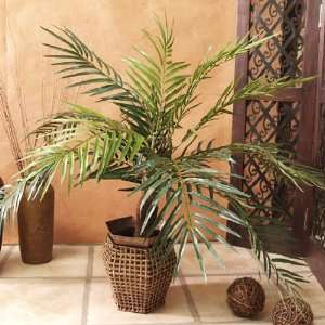  Silk Palm in Rattan Planter GR139 39