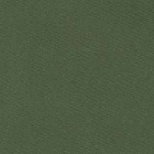  48 Wide Stretch Poplin Deep Olive Green Fabric By The 