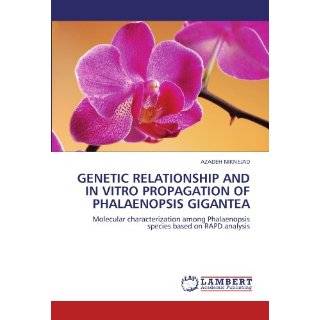 GENETIC RELATIONSHIP AND IN VITRO PROPAGATION OF PHALAENOPSIS GIGANTEA 