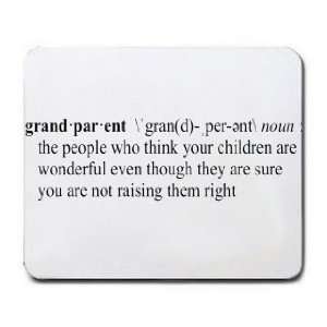  GRANDPARENT Funny Definition (Gotta See it to Believe it 
