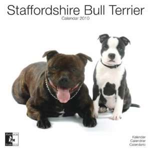  Staffordshire Bull Terrier 2010 Wall Calendar