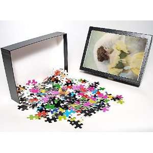   Jigsaw Puzzle of Princess Of Asturias from Mary Evans Toys & Games