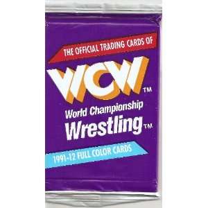WCW World Championship Wrestling 1991 Impel Wrestling Trading Card 