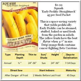 squash early prolific straightneck is