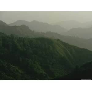  View of the Rain Forest in Cusuco National Park Stretched 