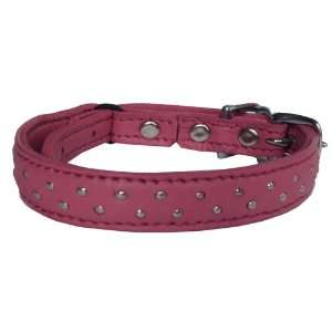   Pop Star Leather Safety Collar   I Kissed a Girl (Pink)