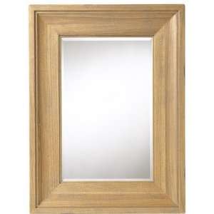  Cooper Classics Bennington Mirror