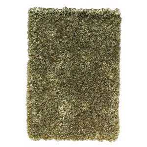 Shimmery Shag Rug 5x8 Green/brown 