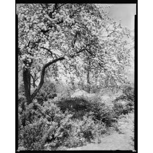  Scalesby,Boyce vic.,Fauquier County,Virginia