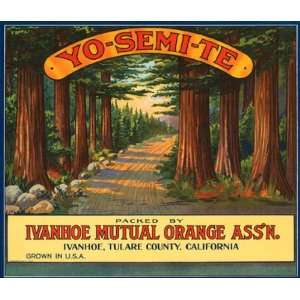  YOSEMITE ORANGE CALIFORNIA USA FRUIT CRATE LABEL CANVAS 