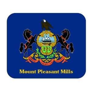  US State Flag   Mount Pleasant Mills, Pennsylvania (PA 