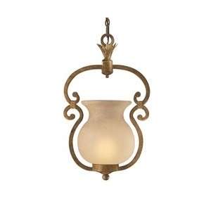   N6131 34 Pamplona 1 Light Pendant in Aged Wood W/Gold Highlights