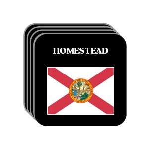  US State Flag   HOMESTEAD, Florida (FL) Set of 4 Mini 