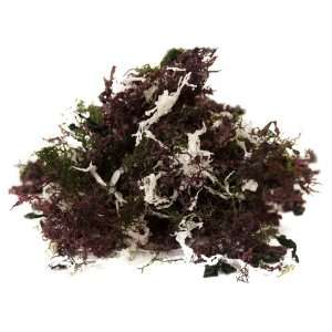 Dried Seaweed Mix, 3.52 Ounce  Grocery & Gourmet Food