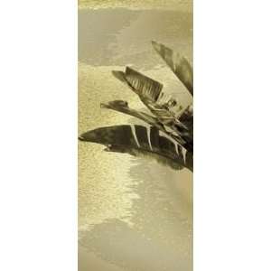 Palm Fronds   Tryp Left Poster Print