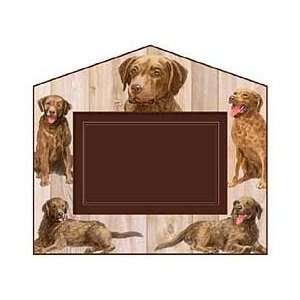  Chesapeake Bay Retriever Picture Frame