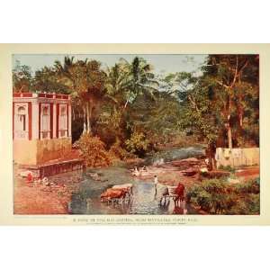 1899 Ford Rio Grande River Mayaguez Puerto Rico Print   Original Color 
